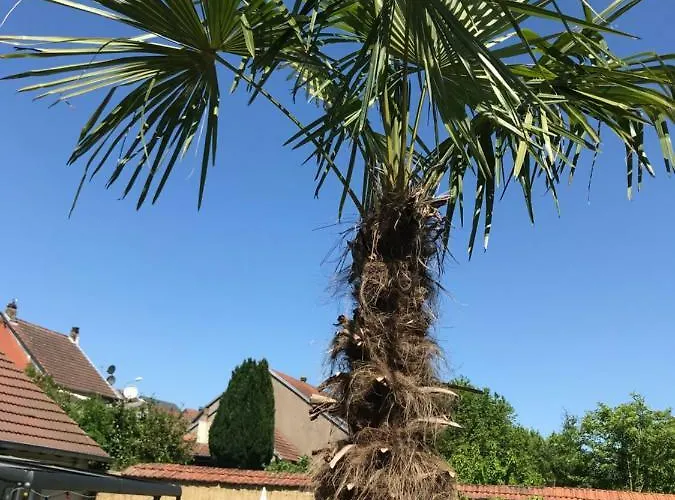 Holiday home L'atelier Zen Sarreguemines